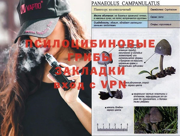 кокс Баксан