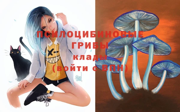кокс Баксан