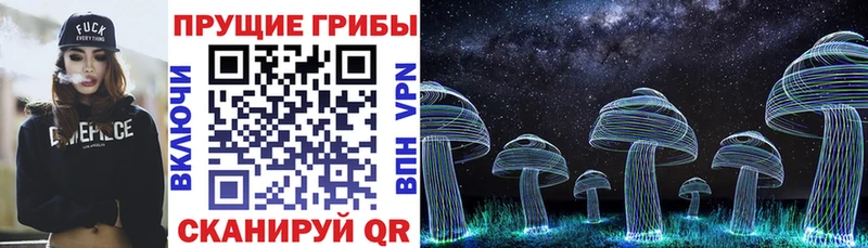 где купить наркотик  Свирск  Галлюциногенные грибы Magic Shrooms 